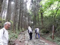 旧東海道箱根宿　甘酒茶屋から石畳を歩く