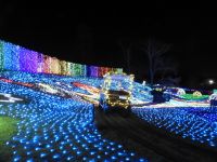 バスハイク　東京ドイツ村　イルミネーション