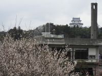 バスハイク　城下町散策　大多喜城と大多喜町役場