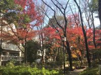 高橋是清翁記念公園