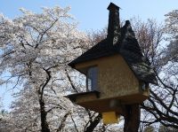 バスハイク　清春芸術村